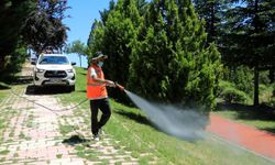 Elazığ’da ilaçlama çalışmaları aralıksız sürüyor