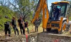 Sulama havuzuna düşen gebe inek itfaiye ekiplerince kurtarıldı