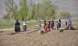 Erzincan’da mevsimlik tarım işçilerinin zorlu mesaisi sürüyor