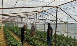 Yüksekova’da çiftçilere yerinde destek sürüyor