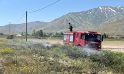 Gevaş’ta anız yangını paniğe neden oldu