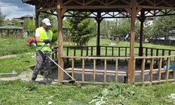 Ardahan’da park ve yeşil alanlarda yaz mesaisi