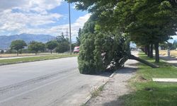Erzincan'da kuvvetli rüzgar hayatı olumsuz etkiledi