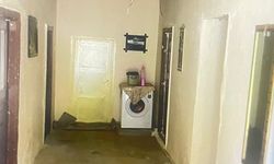 Hakkari'de toprak evde yılan paniği
