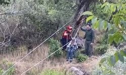 Dere kenarında mahsur kalan 3 kardeş 3 saatlik çalışma ile kurtarıldı