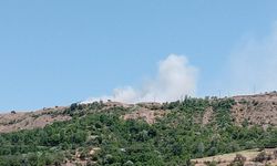 Elazığ’da arazi yangını