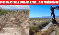 Muş Ovası’nı sulayan kanallar temizleniyor