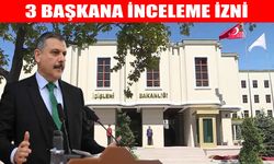 İçişleri Bakanlığı’ndan belediyelere sokak hayvanları soruşturması