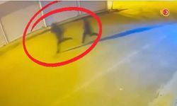 Diyarbakır’da silahlı suç örgütü şebekesi çökertildi: 40 gözaltı