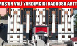 Resmî Gazete’de yayımlandı: Muş’un Vali Yardımcısı kadrosunda artış