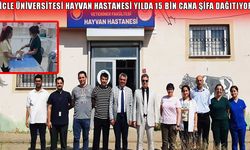 Dicle Üniversitesi'nden Hayvan Sağlığında Teknoloji Devrimi: İnsan Hastanelerini Aratmıyor