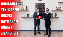 Bitlis’e atanan Şube Müdürü Ekin'den Hasköy Kaymakamı Güney’e veda ziyareti
