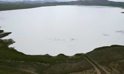 Van'ın Kuş Cenneti Akgöl Yeniden Canlandı: Flamingoların Dönüşü Bekleniyor