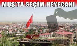 Muş yarın sandık başına gidiyor!