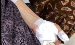 Şırnak’ın Silopi ilçesinde başıboş köpek saldırısı: 3 kadın yaralandı