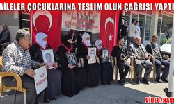 Muş’ta çarşamba günü yine aynı haykırış: Evlatlar için nöbet sürüyor
