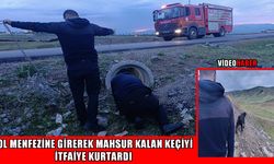 Muş’ta menfeze sıkışan keçi itfaiye ekiplerince kurtarıldı