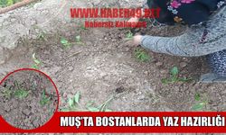 Muş'ta bostan mesaisi başladı, fideler toprakla buluştu