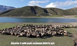 Binlerce küçükbaş hayvanla yola çıkan göçerler bitlis yaylalarında