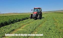 Bitlis’te Çiftçiler Kışlık Yem İçin Tarlalara Çıktı
