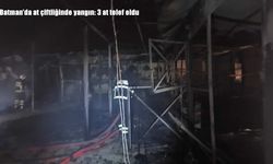 Batman’da at çiftliğinde yangın: 3 at telef oldu