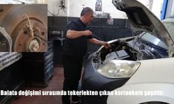 Sanayide Şaşırtan Olay: Otomobilin Tekerinde Kertenkele Bulundu