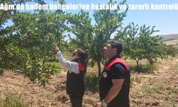 Elazığ Ağın’da Badem Ağaçları Yerinde İncelendi