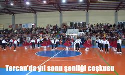 Tercan’da yıl sonu şenliği coşkusu