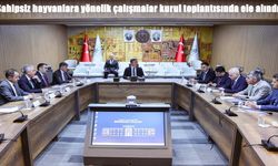 Erzincan’da sahipsiz hayvanlar için yol haritası masaya yatırıldı