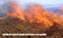 Küçük bir izmarit büyük felaketlere yol açabilir