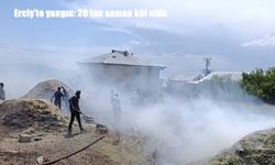 Erciş'te yangın: 20 ton saman kül oldu