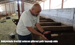 Evinin bahçesini gelir kapısına dönüştürdü