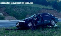Ardahan-Göle karayolunda otomobil devrildi: 1 ölü