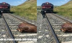 Elazığ’da trene çarpan inek telef odu