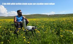 Urartu’dan Günümüze: Keşiş Gölü Yaylası Sarı Çiçeklerle Renklendi