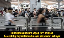 Bilim insanları uyardı: Yaşam tarzımız salgın riskini artırıyor