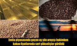 Emtia piyasasında geçen ay yön arayışı hakimken kakao fiyatlarında sert yükselişler görüldü