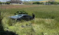 Elazığ'da otomobil tarlaya uçtu: 3 yaralı