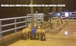 Barajda gece nöbeti tutan güvenlikçiye iki ayı yavrusu sürprizi