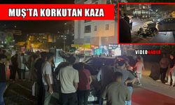 Muş’ta iki otomobil çarpıştı