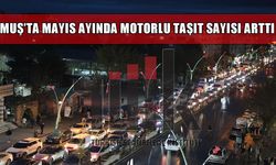 TÜİK açıkladı: Muş’ta araç sayısı 43 bin 735’e ulaştı