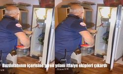 Buzdolabının içerisine giren yılanı itfaiye ekipleri çıkardı