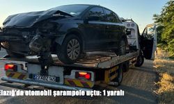 Elazığ'da otomobil şarampole uçtu: 1 yaralı