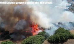 Manisa'da makilik alanda yangın: 15 dönüm küle döndü