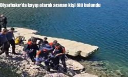 Diyarbakır'da Kayıp Olarak Aranan 30 Yaşındaki Kişi Ölü Bulundu