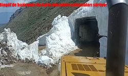 Bingöl’ün Yüksek Kesimlerinde Karla Mücadele Sürüyor