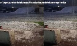 Kars'ta gece yarısı dolu etkili oldu