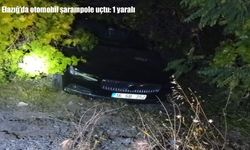 Elazığ’da otomobil şarampole uçtu: 1 yaralı