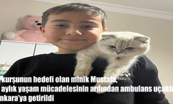 Okul saldırısında kurşunların hedefi olan Mustafa, ambulans uçakla Ankara’ya sevk edildi