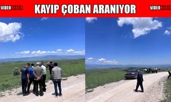 Muş’ta kayıp çoban için arama çalışması başlatıldı